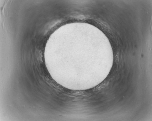 X0000085281205200704092157