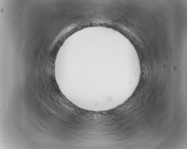 X0000085281207200704092157