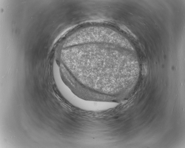 X0000085281208200704092157