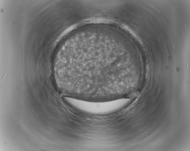 X0000085281213200704092157