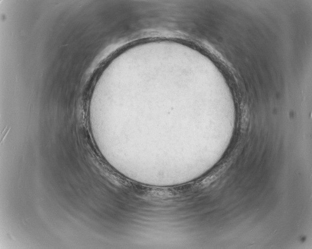 X0000085281215200704092157