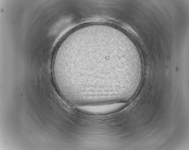 X0000085281216200704092157