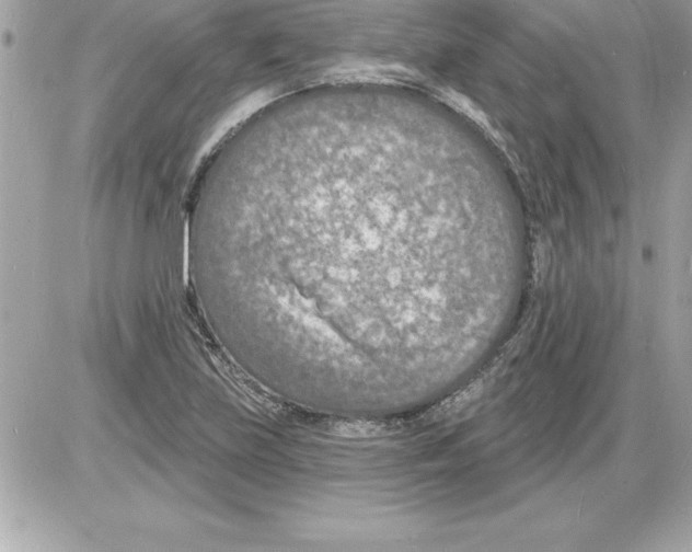 X0000085281219200704092157