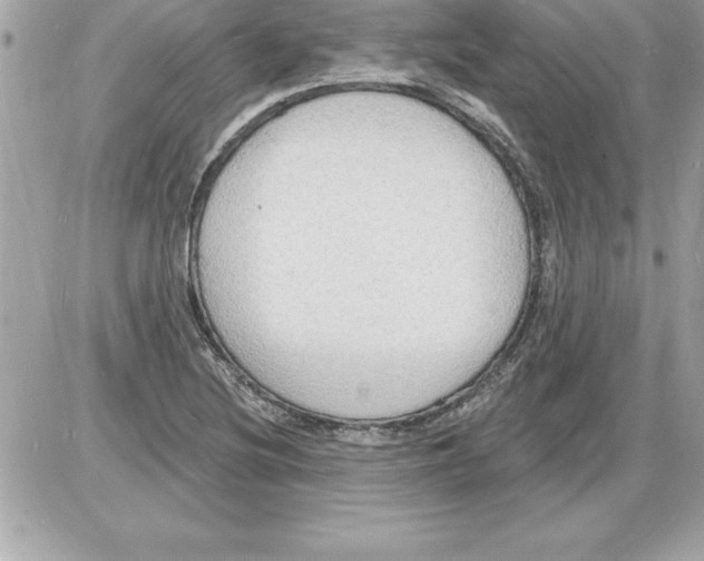 X0000085281220200704092157