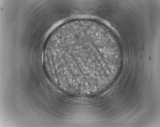 X0000085281221200704092157