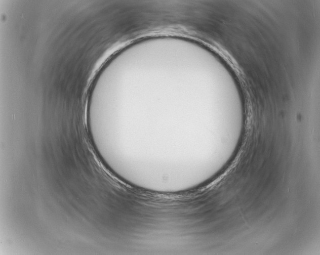 X0000085281224200704092157