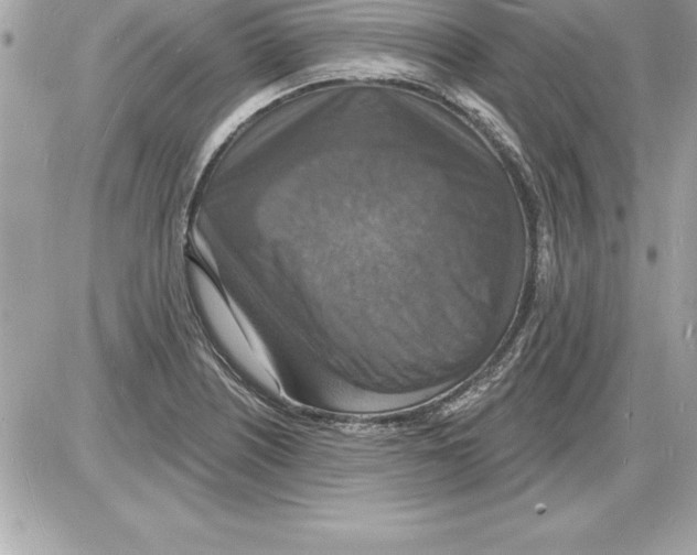 X0000085281226200704092157