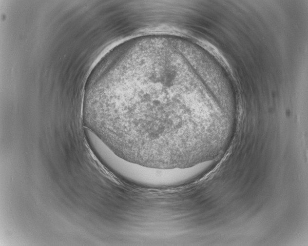 X0000085281228200704092158