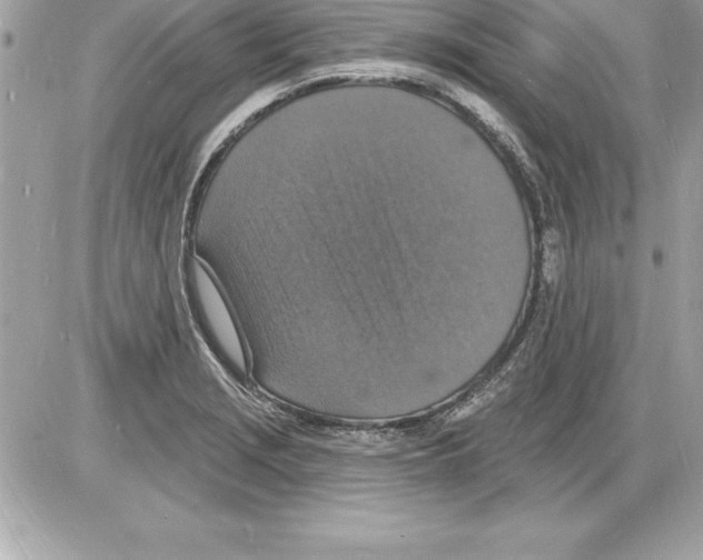 X0000085281229200704092158