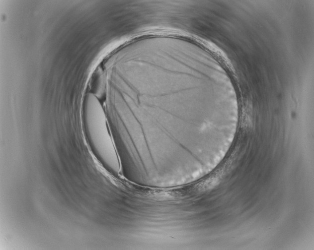 X0000085281231200704092158