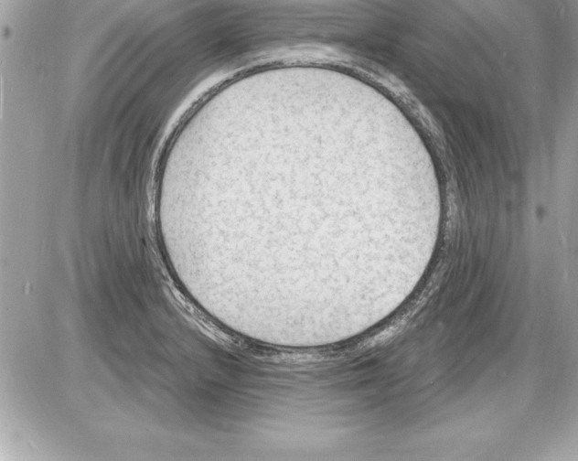 X0000085281232200704092158