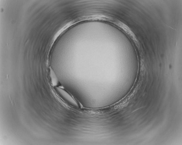 X0000085281234200704092158