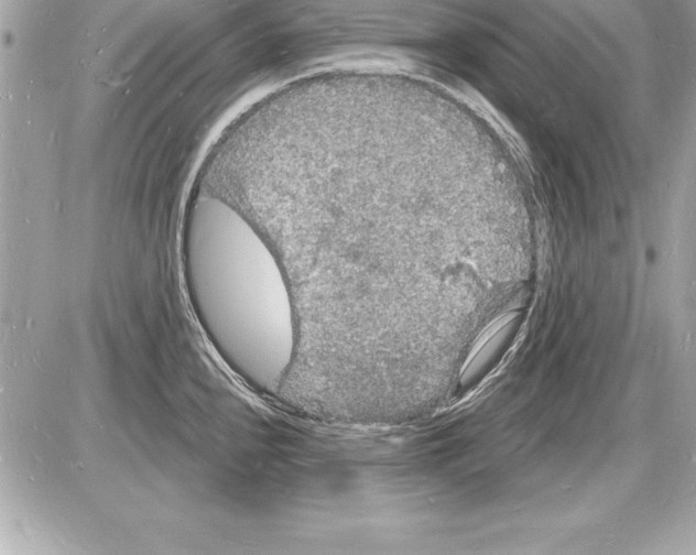 X0000085281240200704092158