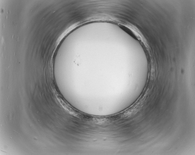 X0000085281242200704092158