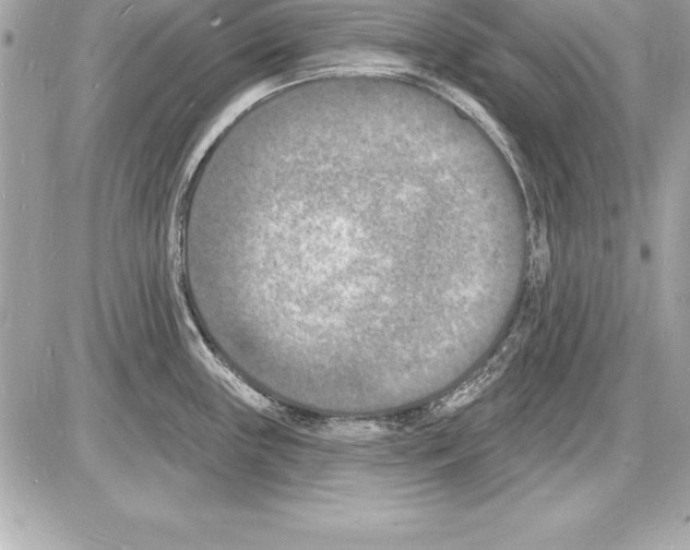 X0000085281243200704092158