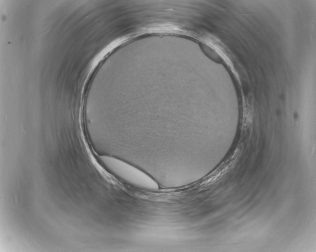 X0000085281245200704092158