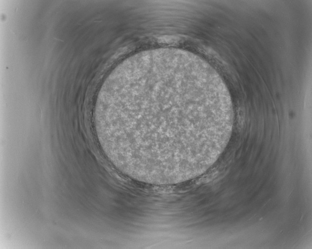 X0000085281249200704092157