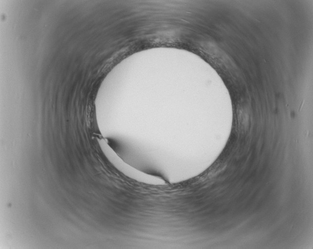 X0000085281250200704092157