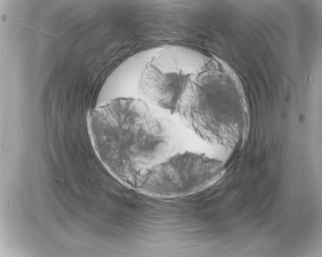 X0000085281251200704092157