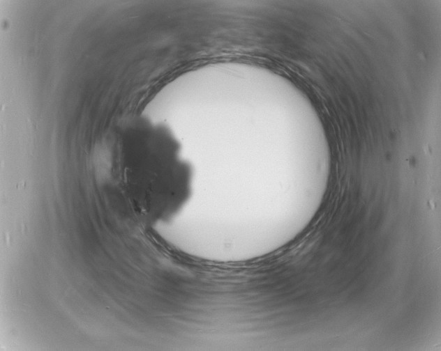 X0000085281252200704092157