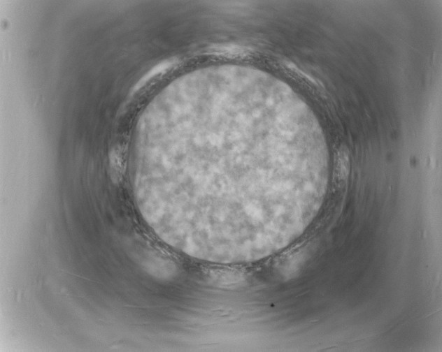 X0000085281254200704092157