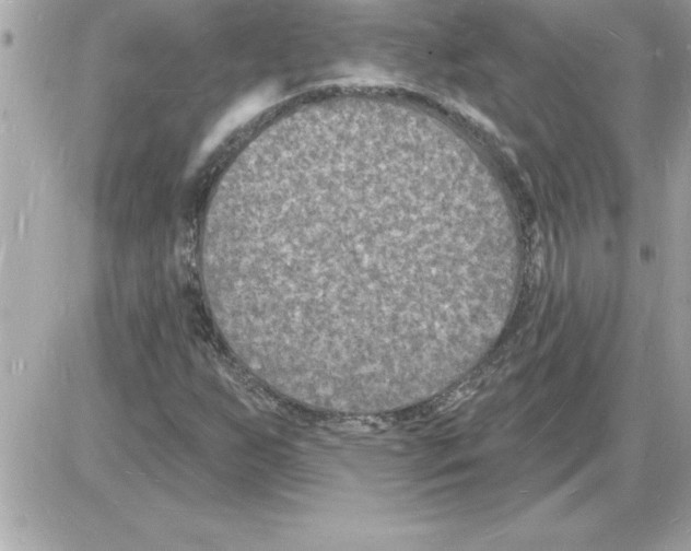 X0000085281255200704092157