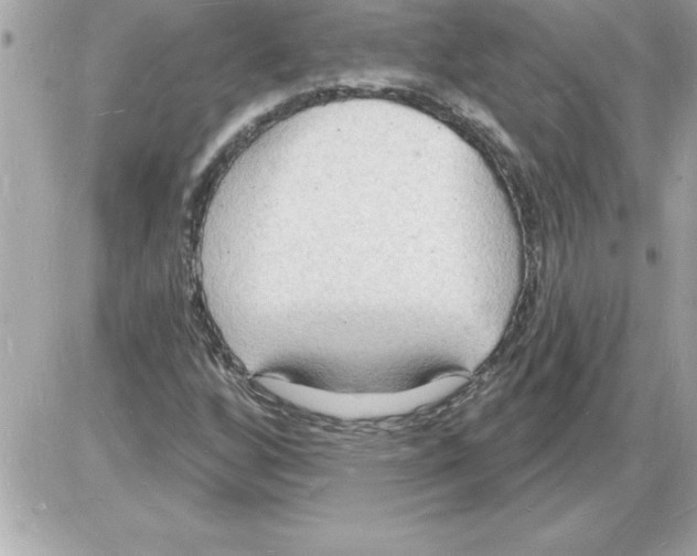 X0000085281256200704092157