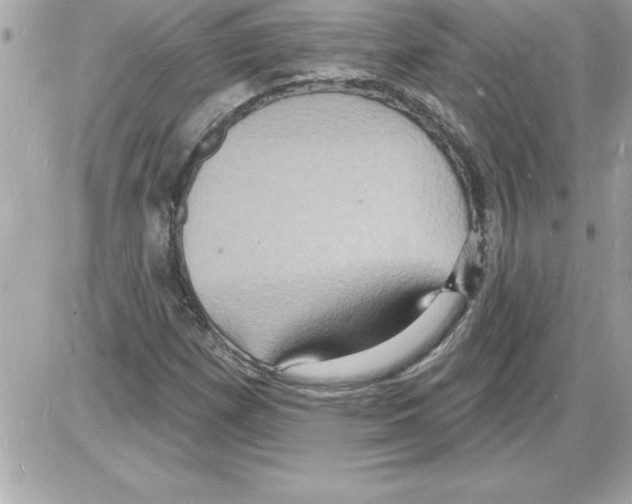 X0000085281257200704092157