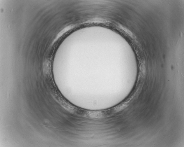 X0000085281258200704092157