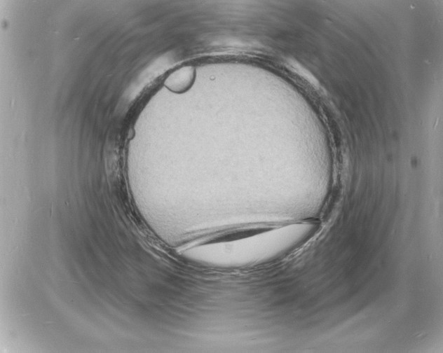 X0000085281259200704092157