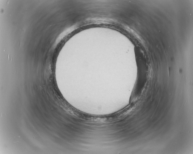 X0000085281261200704092157