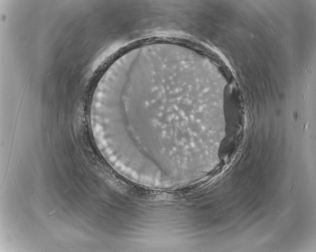 X0000085281263200704092157