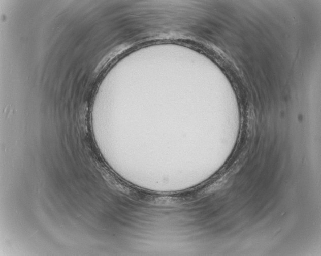 X0000085281265200704092157