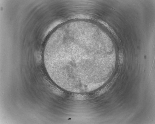 X0000085281266200704092157