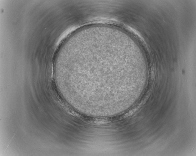 X0000085281267200704092157