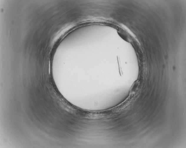 X0000085281269200704092157