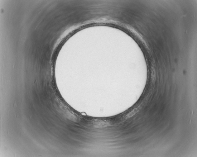 X0000085281270200704092157