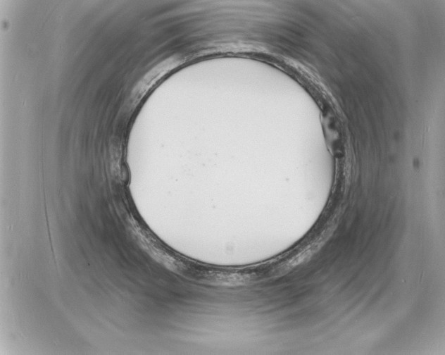 X0000085281273200704092157