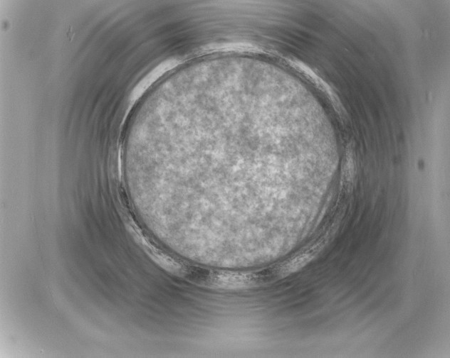 X0000085281274200704092157