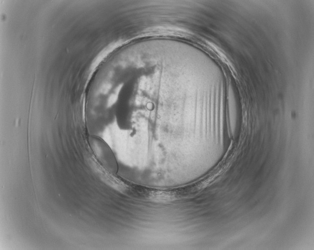 X0000085281275200704092157