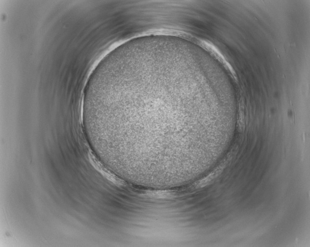 X0000085281276200704092157