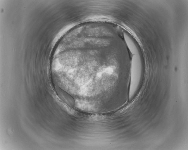 X0000085281277200704092157