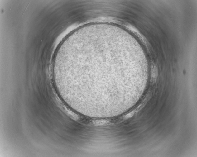 X0000085281278200704092157