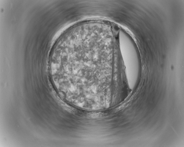 X0000085281279200704092157