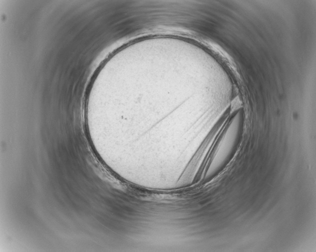 X0000085281280200704092157