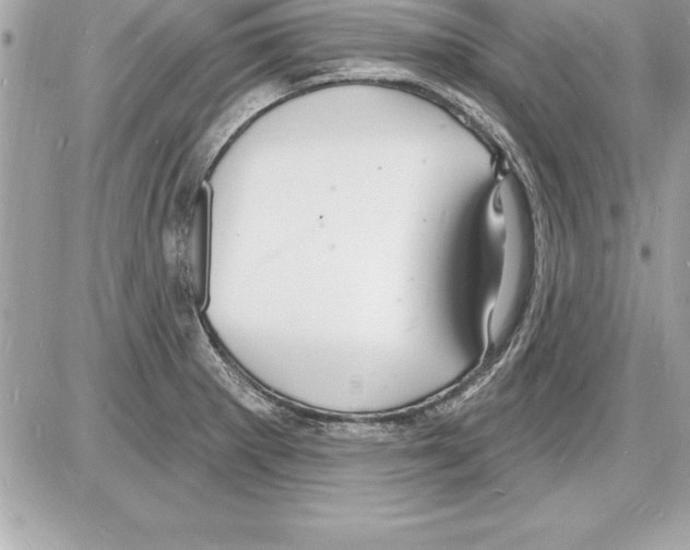 X0000085281281200704092157