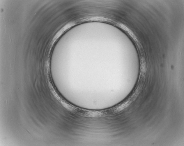 X0000085281282200704092157