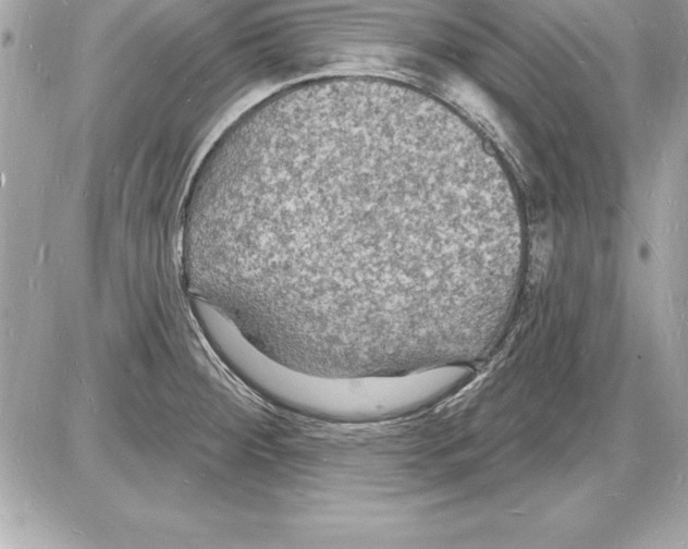 X0000085281284200704092156