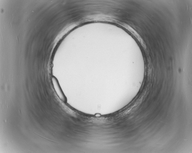 X0000085281285200704092156