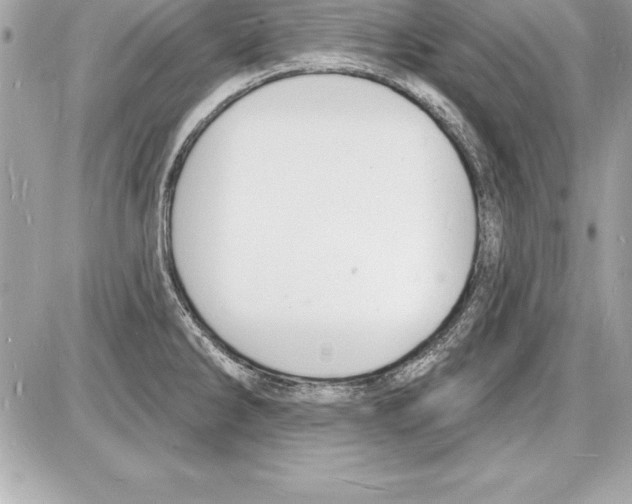 X0000085281286200704092156